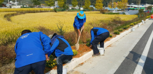 성주군, 수륜면 클린지도자들 가야산단풍 관광객을 위한 꽃길 조성