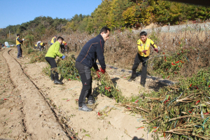 울진경찰서, 농촌일손 돕기 봉사활동