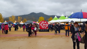 포항 기계면, 기계 농ㆍ특산물축제 
