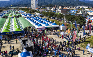 <특집> “인삼도 맛 보고 건강도 챙기고”…영주의 가을 축제로 물든다