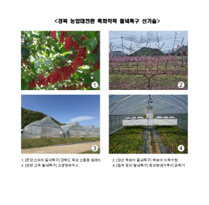 경북농업기술원, 농업대전환 들녘특구…특화작목 R&D 신기술 확대