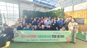 경북도농업기술원, 딸기 재배 농민 소득 증대 노력