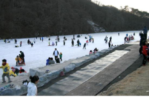 영양군, 천연빙상장 무료개장