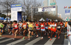 대구국제마라톤 내달 14일 개막…8일까지 참가신청