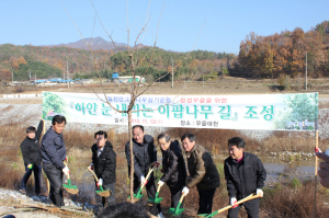 구미시 무을면 ‘이팝나무 길’ 조성 기념식