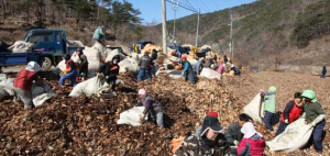 영덕군, 친환경 명품퇴비 자원화 ‘성공’