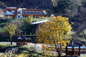 市, 자연친화적 산림휴양공간 만든다