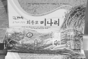 회룡포 봄 미나리 출하