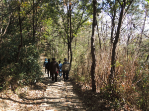 용산 등 14개 노선 32km 숲길정비 추진