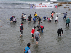 풍성한 봄맞이 축제…상춘객 유혹