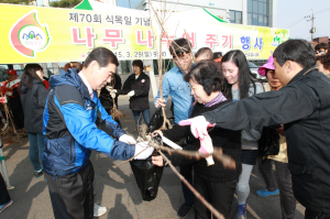 성주군, 나무 나눠 주기 행사