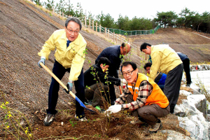 포항교육청, 전 직원 식목행사 가져
