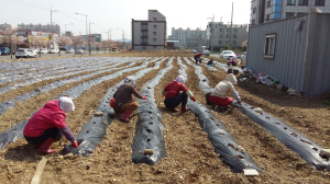 포항 오천읍, 사회서비스형 자활사업