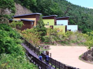 道,‘힐링 경북’…자연휴양림 활성화 방안 추진