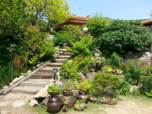 “경주 다봉마을에 야생화 보러가자”