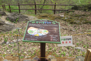 청송 주왕산에 특정식물관찰원 조성