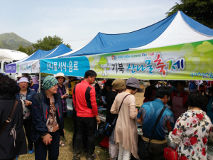 향긋한 봄내음 ‘물씬’…기북산나물축제 성료