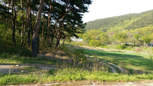 포항 보경사 자연학습장 조성 특정인에 토지매입 특혜 줬나
