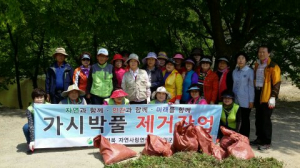 군위군, 자연사랑연합회 가시박 제거 작업