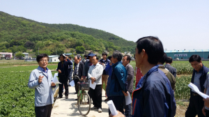 ‘고령산 씨감자’ 지역적응시험포 중간 평가회