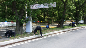 포항 송라면, 주요간선도로 등 대대적 환경정비