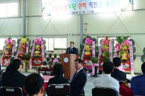 당도 뛰어난 고령 ‘우곡수박’ 본격 출하
