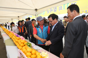 “칠곡 벌꿀참외 알리는 계기 될 것”