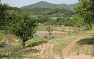 확 달라진 불로고분공원으로 GO! GO!