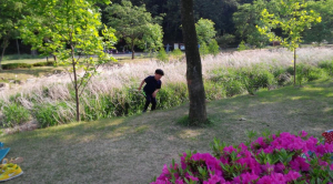 공 주우러 냇가로 ‘쪼르르’…어린이 안전 빨간불