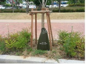 대구, 유례없는 가뭄과 전쟁 선포!