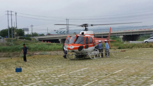 ‘소나무재선충병’ 매개충부터 잡는다