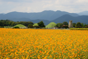 경주, 첨성로 주변 동부사적지 새롭게 단장