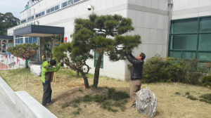 울진, 지역공동체일자리사업