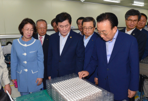 崔, 대구-구미 직접 찾아 지역경제 살리기 큰 걸음
