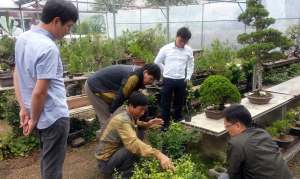 칠곡산림조합, 산림경영 전문상담석 설치