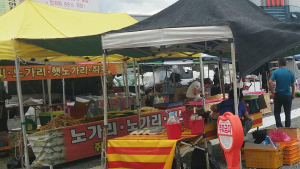 여름철 안전 먹거리를 위해 재래시장 위생점검은 필수