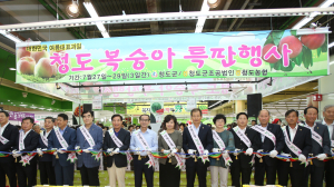 “맛좋은 청도 복숭아 저렴하게 만나요”
