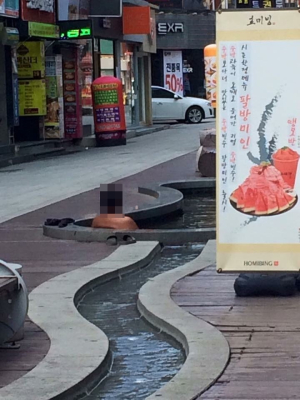 실터파크 개장?…50대 男 시내 한복판서 ‘홀딱’