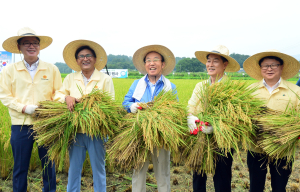 도내 곳곳 광복 70주년 경축 분위기 한껏