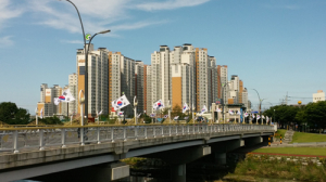 최영조 경산시장 “시가지 태극기 물결로 뒤덮자”