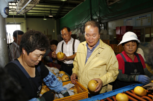 상주 꿀 배, 배타고 세계로
