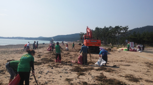 포항 청하면, 월포해수욕장서 정화활동