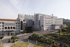 대학 구조개혁 평가 전문대 中 ‘최고등급’