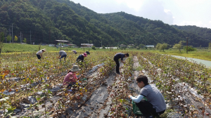 道교육청 수석교사들, 교실 개혁 적극 나서다