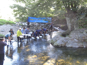 포항 기북면, 오덕전통마을 하천에 다슬기 방류