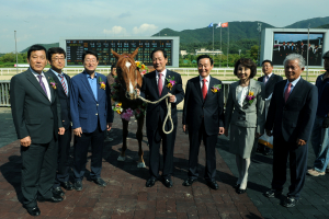 馬 고장 영천, 서울서 새로운 도약