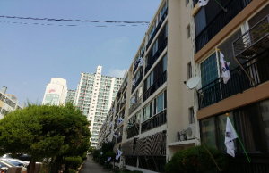 포항 북구청, 나라사랑 태극기 달기 운동 추진
