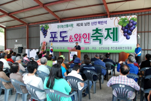 경산, 맛있는 ‘맥반석 포도ㆍ와인’ 먹으러 오세요