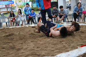 ‘미래 씨름王’ 안동초, 교육장기 씨름대회 입상