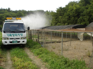 안동시, 구제역ㆍAI 차단 ‘총력’